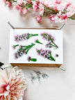 Flower Presses