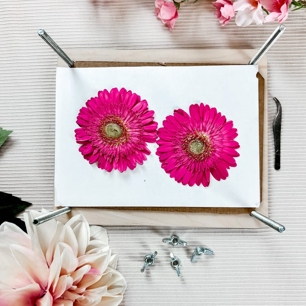 Flower Presses